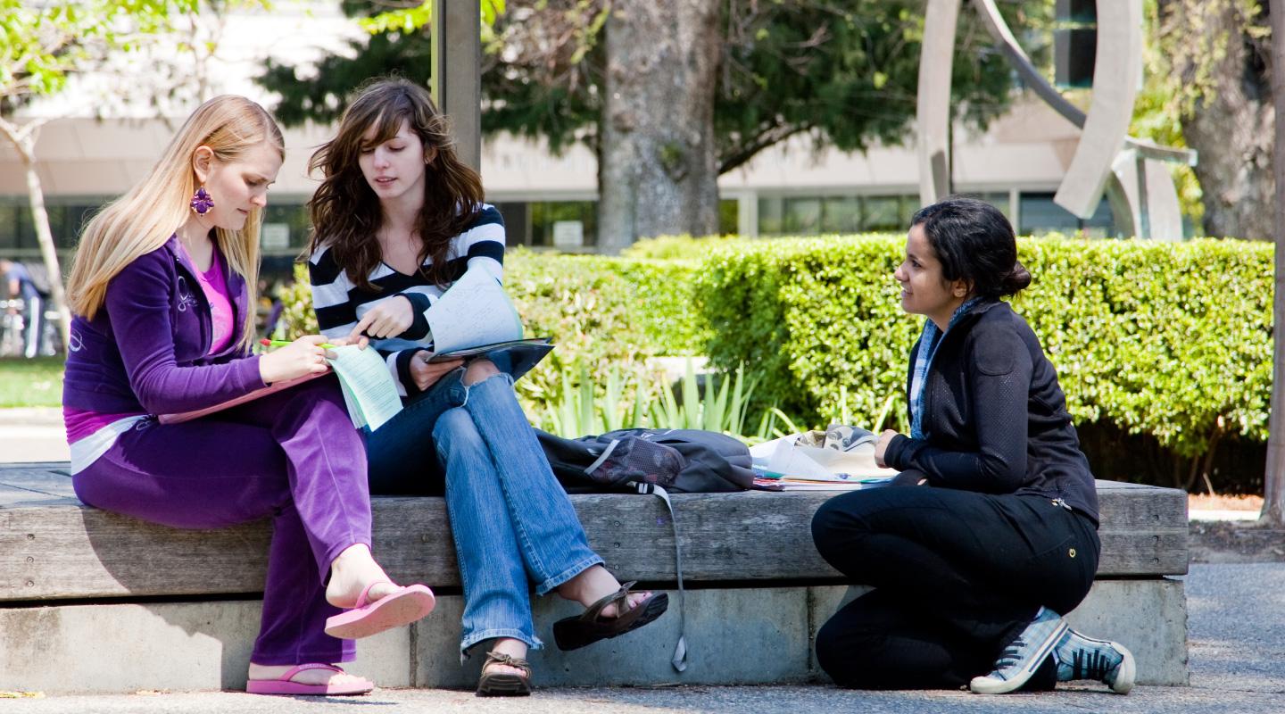 Students Studying